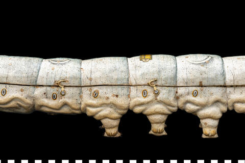 Modello anatomico Baco da seta 111 463 photo