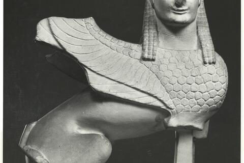 calco Sfinge di Spata 123 photo