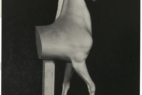 calco di scultura Statua di cavallo 126 photo