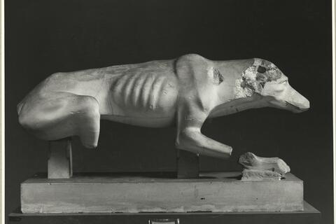 calco di scultura Statua di cane 127 photo