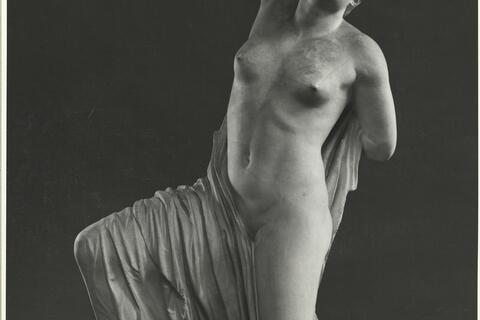 calco di scultura Statua della c.d. Niobide dagli Horti Sallustiani 252 photo