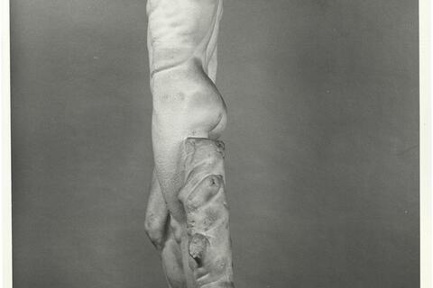 calco di scultura Apollo del Tevere 280 photo