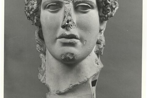 calco di scultura Testa di Apollo tipo Kassel 291 photo