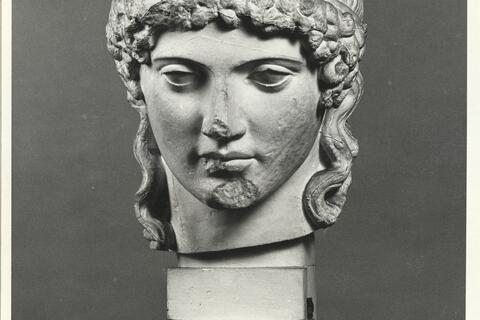 calco di scultura Testa Apollo del Tevere 296 photo