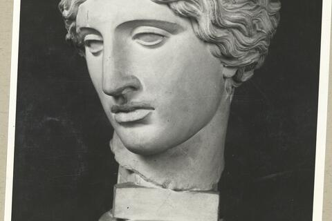 calco di scultura Testa dell'Amazzone tipo Mattei 302 photo