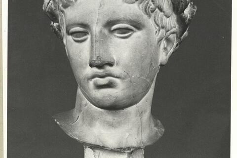 calco di scultura Gruppo di S. Ildefonso part. della testa 314 photo