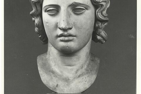 calco di scultura Testa di Era 315 photo