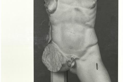 calco di scultura Torso di combattente 365 photo