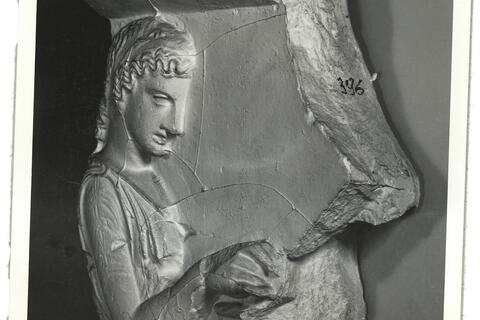 calco di scultura Metopa del lato Nord (?) dell'Ephaisteion: Teseo e Perifete 396 photo