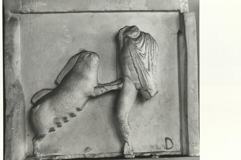 calco di scultura Metopa del lato Nord dell'Ephaisteion: Teseo e la scrofa di Crommion 401 photo