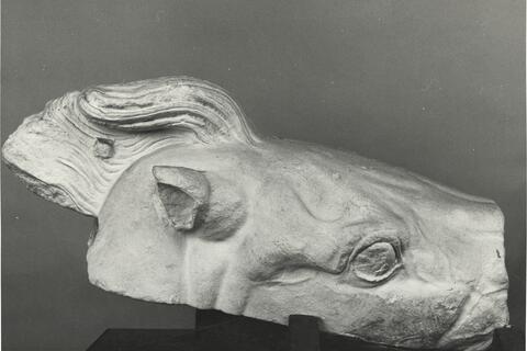 calco di scultura Testa di cavallo. Vaticano, Sala degli Originali Greci. 516 photo