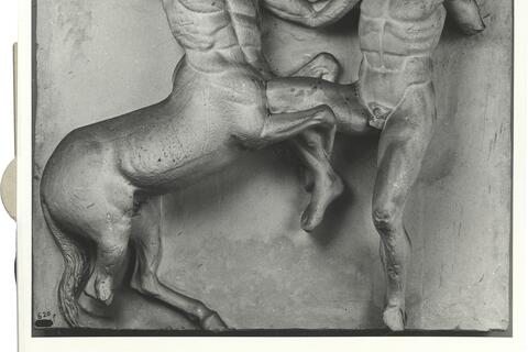calco di scultura Lapita e Centauro, metopa XXXI del lato Sud del Partenone 520 photo