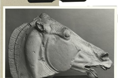 calco di scultura Testa di cavallo dalla quadriga di Selene dal frontone Est del Partenone 539 photo