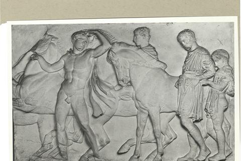 calco di scultura Cavalieri, fregio del lato Nord 555 photo