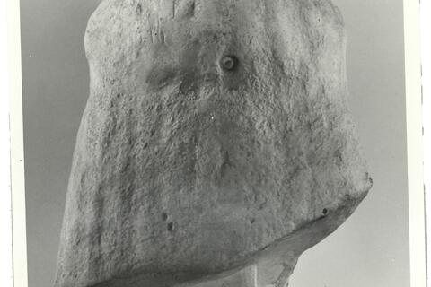 calco di scultura Testa di Melos 62 photo