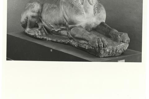 calco di scultura Molosso del monumento funerario di Lysimachides 631 photo