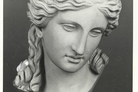 calco di scultura Testa di Eirene 664 photo