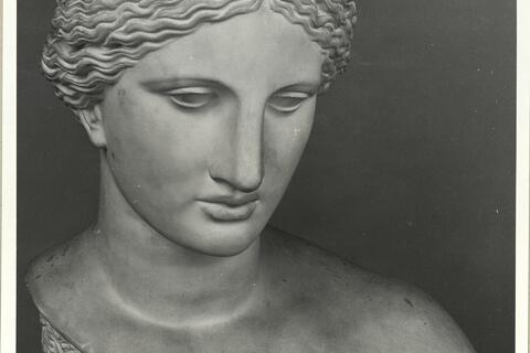 calco di scultura Busto di Afrodite da Arles 720 photo