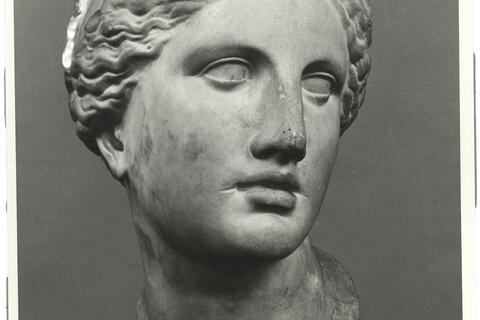 calco di scultura Testa di Afrodite, c.d. “Testa Kaufmann” 727 photo