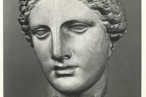calco di scultura Testa di Afrodite 729 photo