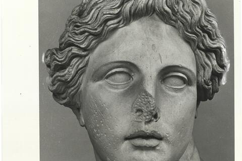calco di scultura Testa di Apollo Liceo 737 photo