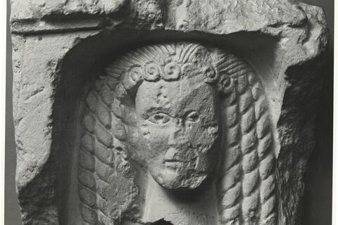 calco Frammento di rielivo da Malessina 88 photo