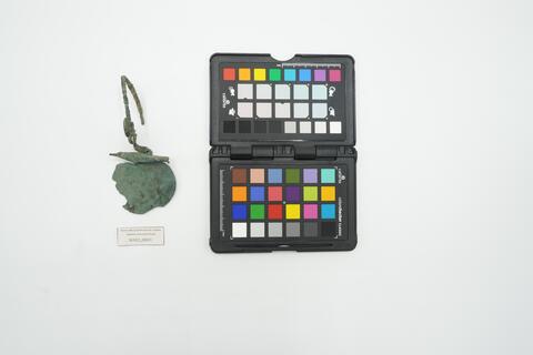 Fibula ad arco obliquo serpeggiante MAEI_00011 photo