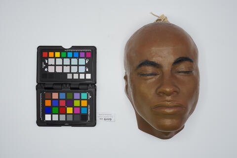 Calco facciale (maschera facciale antropologica) 6007 photo