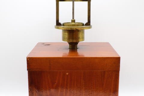  Sirena cagnard de la tour AC0007 photo