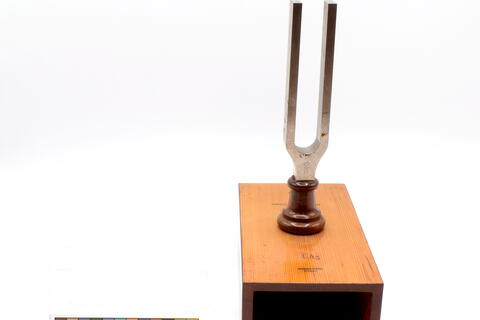 Diapason con cassa armonica AC_0023 photo