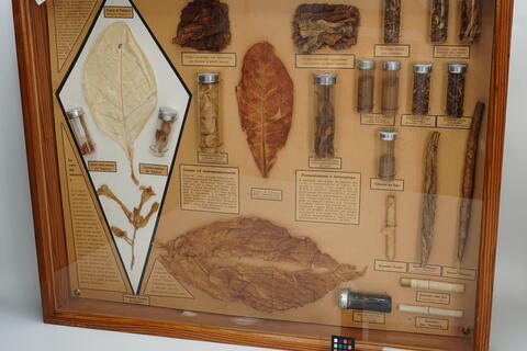 Teca didattica Il Tabacco e la sua industria P0001 photo