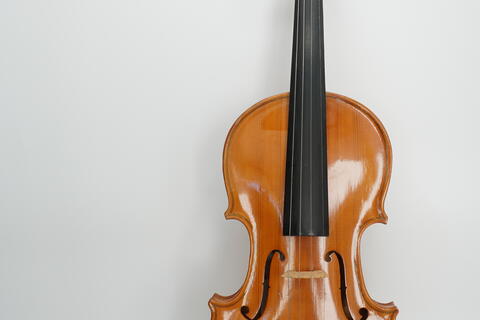 Violino S514 photo