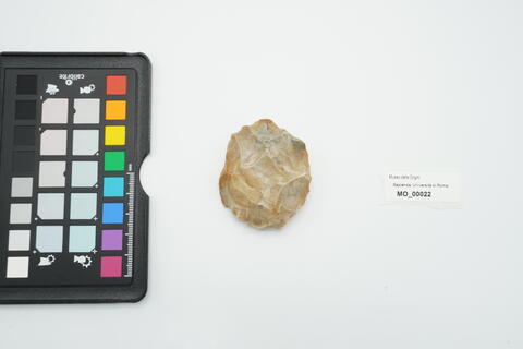 nucleo discoidale 22 photo