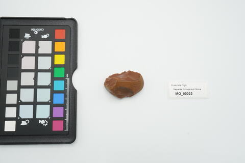 grattatoio denticolato carenoide 33 photo