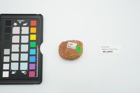 raschiatoio trasversale convesso 43 - immagine 2