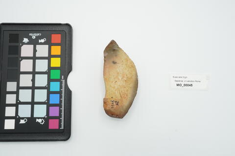 raschiatoio semplice convesso 45 - immagine 2