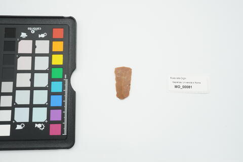 raschiatoio denticolato piatto 81 photo