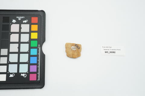 raschiatoio denticolato piatto 82 - immagine 2