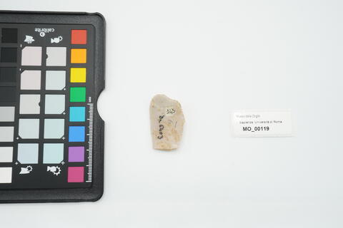 grattatoio carenoide frontale 119 - immagine 2