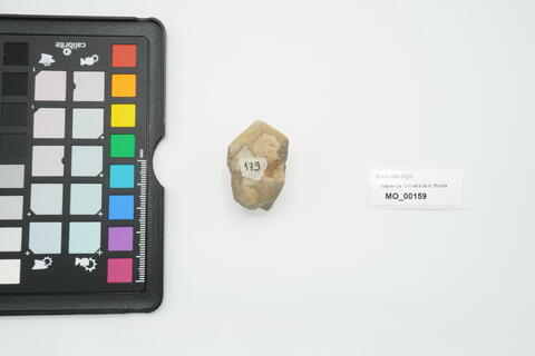 nucleo unidirezionale a lame 159 - immagine 2
