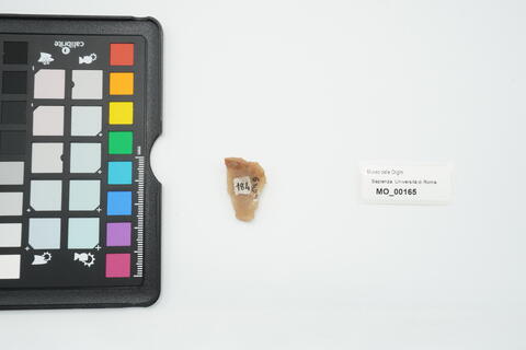 raschiatoio laterale 165 - immagine 2