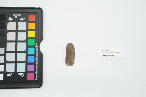 lama 175 photo
