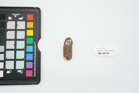 lama 175 - immagine 2