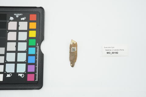 becco déjeté 182 - immagine 2