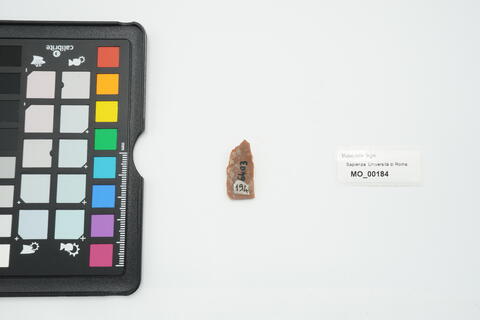 becco dritto 184 - immagine 2