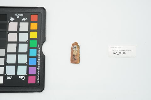 lama 195 - immagine 2
