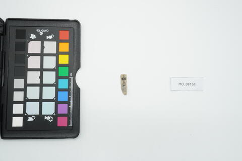 Lama-raschiatoio 8158 - immagine 2