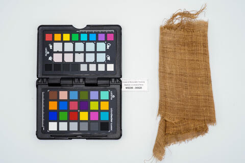 benda lintea 00020 photo