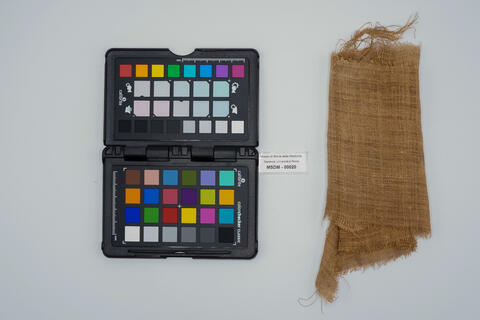benda lintea 00020 - immagine 2