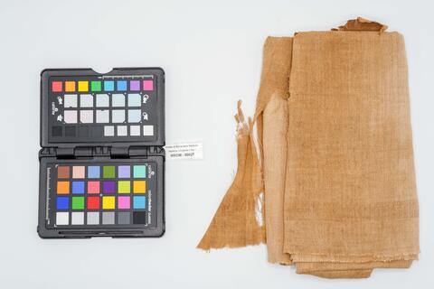 tela lintea 00027 photo